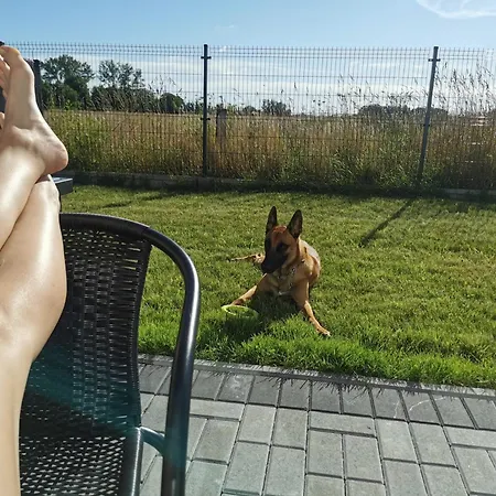 아파트 Haus Noah Mit Sauna Und Whirlpool *